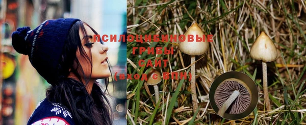 кристаллы Корсаков