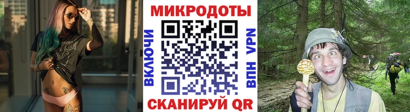 Купить где  Баймак  Псилоцибиновые грибы Cubensis 